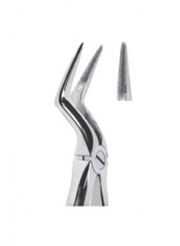 Extracting Forceps